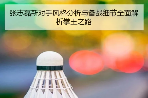 张志磊新对手风格分析与备战细节全面解析拳王之路